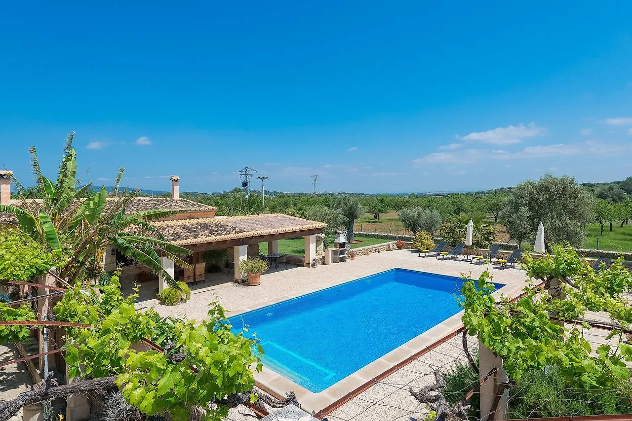 Finca - Agroturisme Sa Parellada Binibona