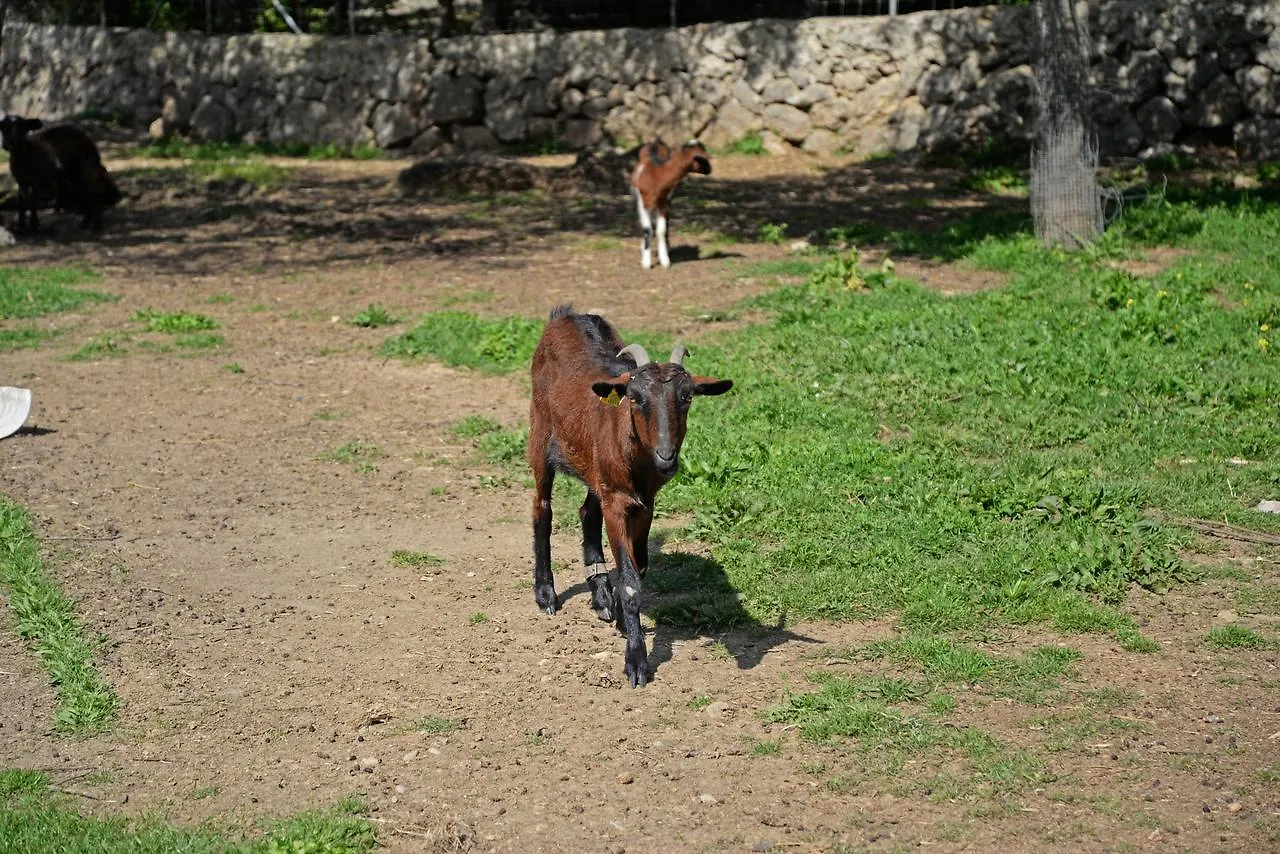 Hotel Finca - Agroturisme Sa Parellada Binibona
